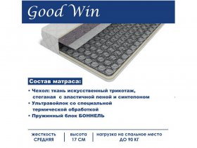 Матрас Good Win (Гуд Вин) в Мохсоголлохе - mohsogolloh.mebel-nsk.ru | фото